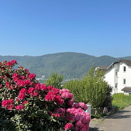 Ferienwohnung Rhein-Panorama Lahnstein Eksteriør bilde