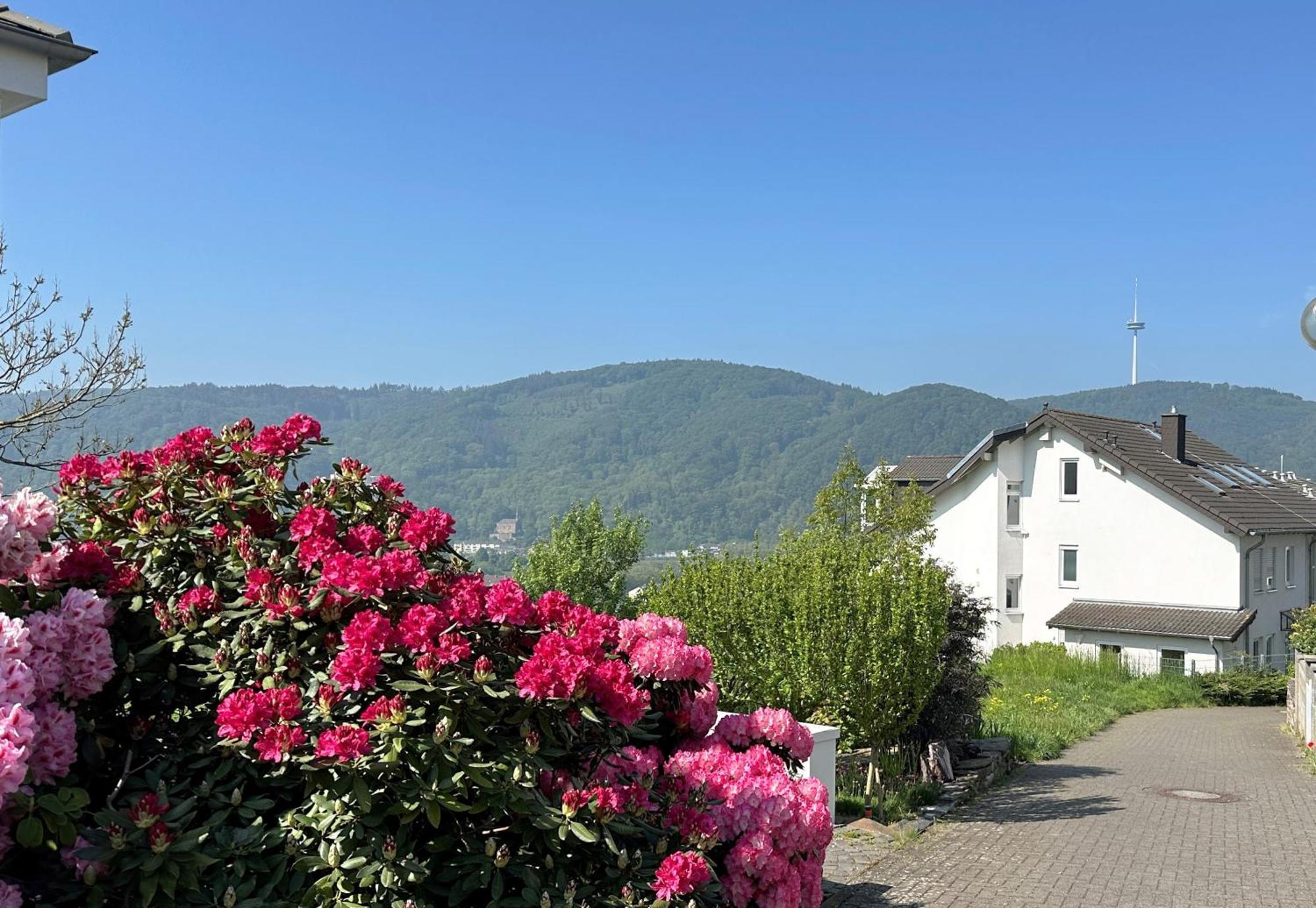 Ferienwohnung Rhein-Panorama Lahnstein Eksteriør bilde