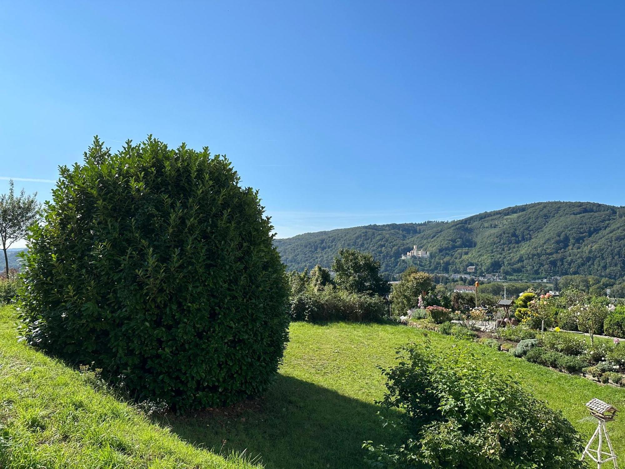 Ferienwohnung Rhein-Panorama Lahnstein Eksteriør bilde